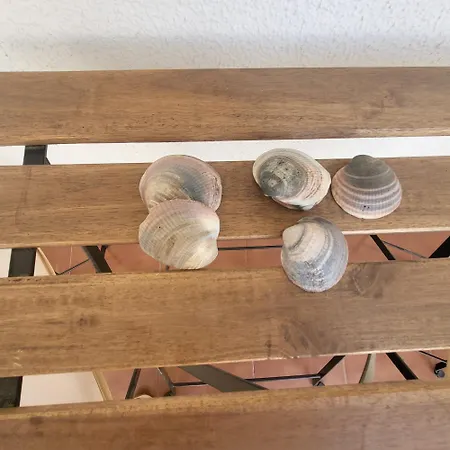 Junto Al Mar En El Centro De Conil