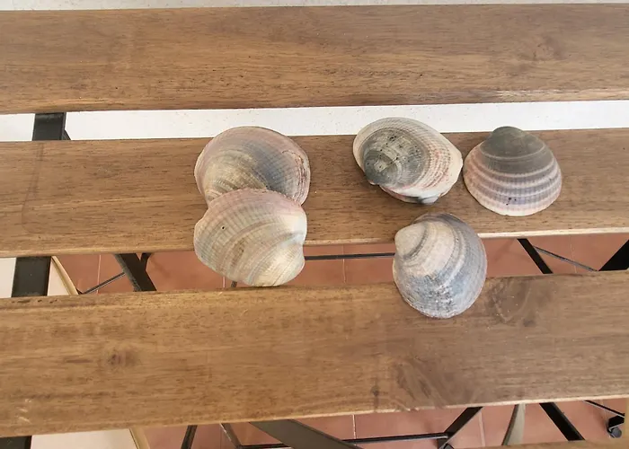 Junto Al Mar En El Centro De Conil